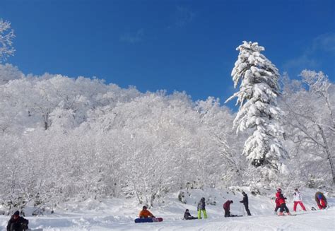 富良野スキー場オープン日のお知らせ｜ふらの観光協会公式サイト FURANO index