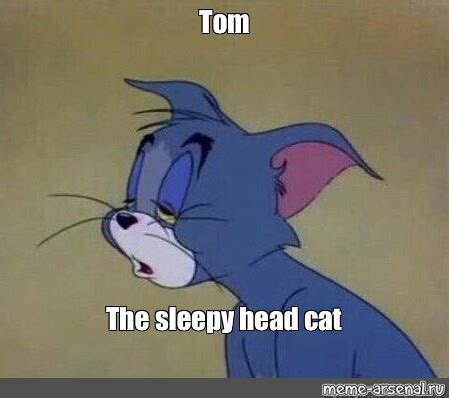 Meme: "Tom The sleepy head cat" - All Templates - Meme-arsenal.com