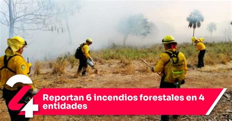 Reportan 6 Incendios Forestales En 4 Entidades Noticias24siete