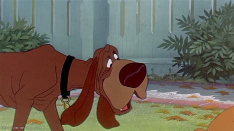Trusty/Gallery | The lady and the tramp Wiki | Fandom