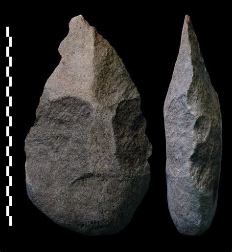 Homo Habilis Tools