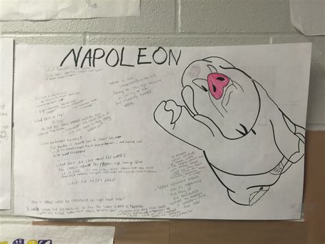 Animal Farm: Napoleon's Character Analysis | Character analysis, School ...