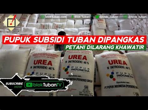 Alokasi Pupuk Subsidi Tuban Dipangkas Youtube