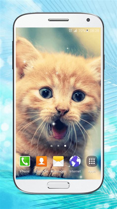 Kittens Live Wallpapers Hd Para Android Descargar