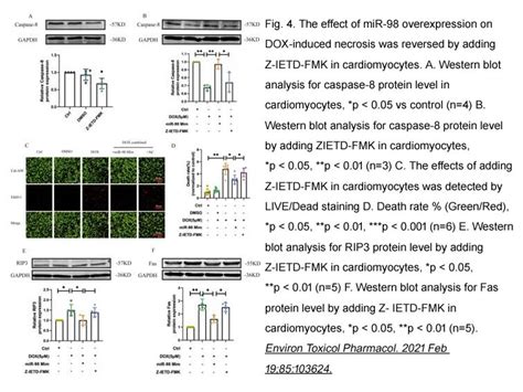 Apexbio Z Ietd Fmk Caspase Inhibitor Cas