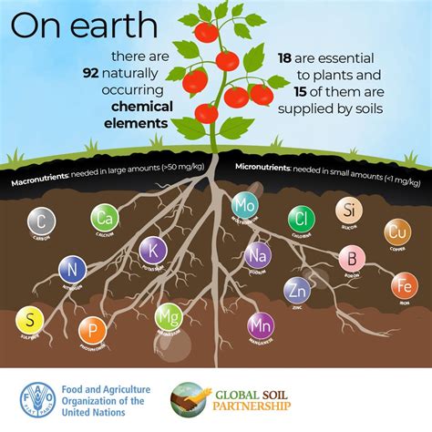 Samira Zarghami On Linkedin Soil Matters Soil Practice Soil