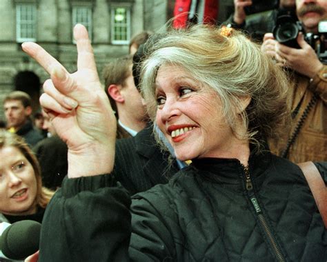 Brigitte Bardot 89 ans une photo inédite de la star dévoilée en 2023