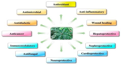 Antioxidants Free Full Text Medicinal Profile Phytochemistry And