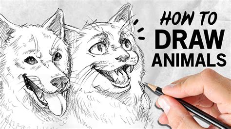 Sketch Of An Animal Unleash Your Creative Side And Create A Stunning