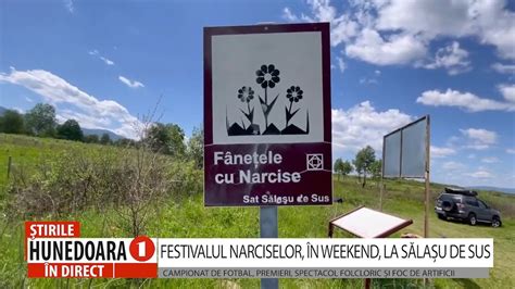 FESTIVALUL NARCISELOR ÎN WEEKEND LA SĂLAȘU DE SUS YouTube