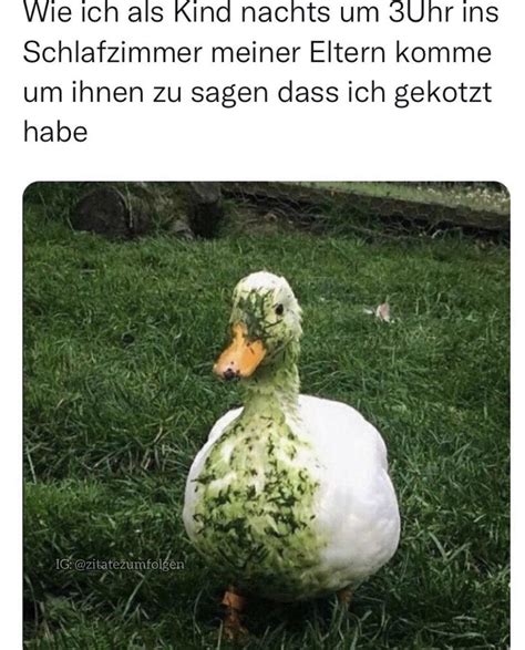 Wer war auch so? : r/deutschememes