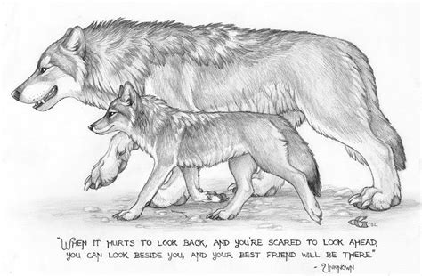 Native American Wolf Quotes Sayings