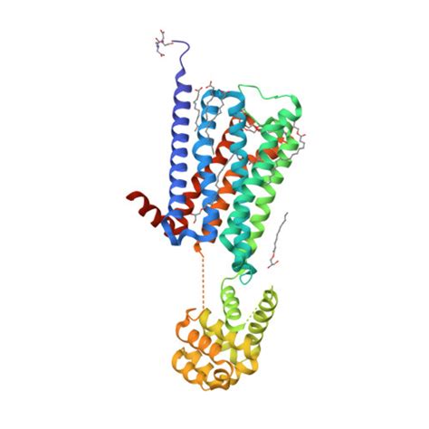 Rcsb Pdb Dsg Structure Of The M Muscarinic Acetylcholine Receptor