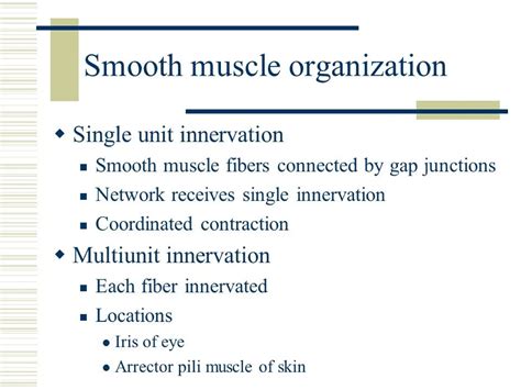 Physiology Of Smooth Muscle Ppt