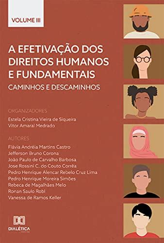 A efetivação dos Direitos Humanos e Fundamentais caminhos e