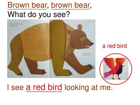 Ppt Brown Bear Brown Bear What Do You See Written By Bill Martin