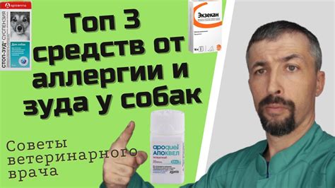 Средства от аллергии у собак - YouTube