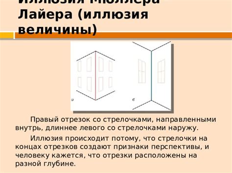 Геометрические иллюзии