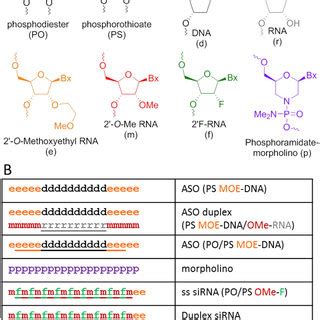 Illustration Of Antisense Oligomers Aso And Morpholinos A Detailed