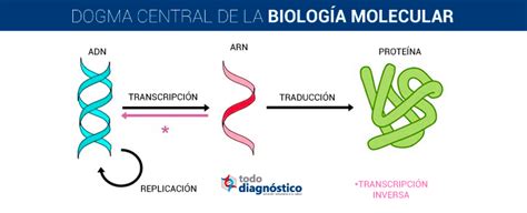 Historia De La Biología Molecular Todo Diagnóstico