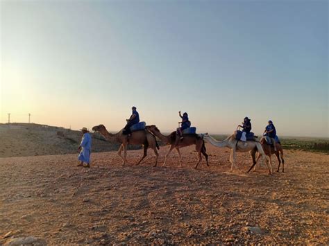 Desde Marrakech Paseo En Camello Al Atardecer En El Desierto De Agafay