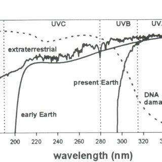 UV-C, UV-B and UV-A part of the solar UV irradiance compared to the ...