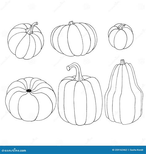 Pumpkin Outline Eps Stock Vector Illustration Of Orange 259162462