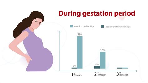 Mindray Torch Panel Series Toxoplasmosis And Pregnancy Youtube