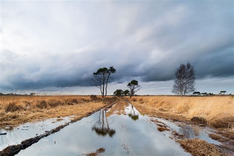 Tips Voor Het Fotograferen In De Winter Beterelandschapsfoto