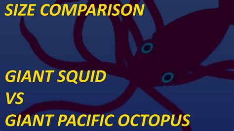 Giant Octopus Vs Giant Squid