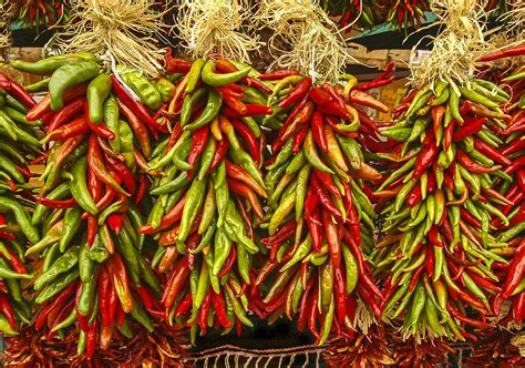 Christmas Peppers Chili Peppers