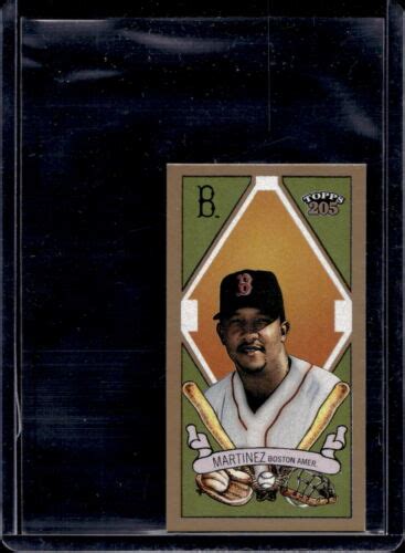 2003 Pedro Martinez Topps 205 Mini Polar Bear 93 EBay