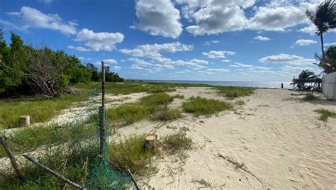 Terreno Venta Mts Frente De Playa Bahia Petempich Paty Cardona