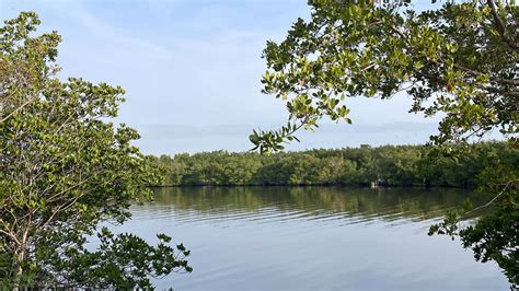 Indian River Lagoon Preserve State Park Florida Hikes