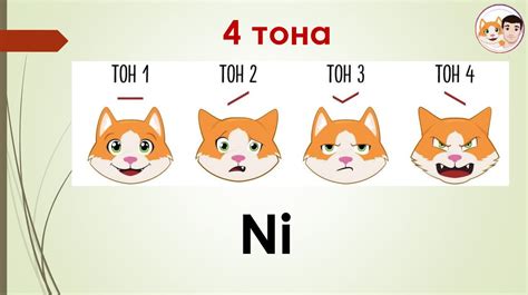 Китайский язык с нуля. Урок №1 - online presentation