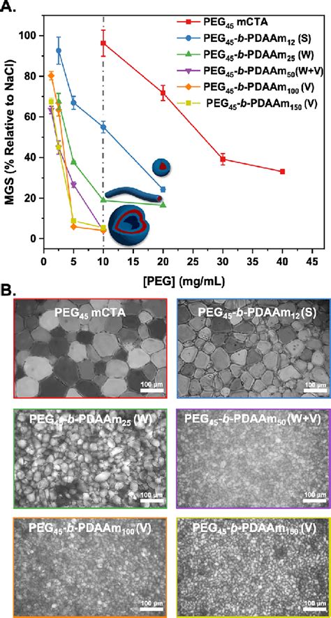 Assessment Of Ice Recrystallization Inhibition Activity For PEG Based