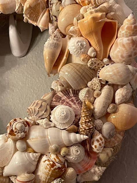 Nautical Decor Seashell Wreath Beach Decor Shell Wreath Seashell