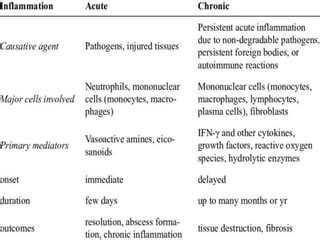 ACUTE AND CHRONIC INFLAMMATION MANJU Pptx