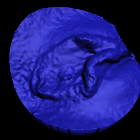 Файл STL Vagina Scan 1Модель для загрузки и 3D печатиCults