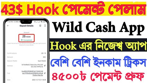 Hook Payment Received Wild Cash By Hooked Protocol Wild Cash