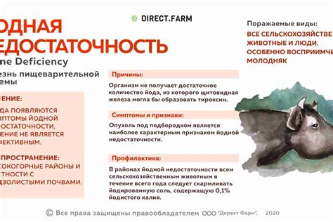 Эндемический зоб щитовидной железы, симптомы и лечение — Journal UA