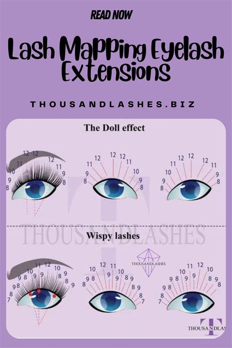 A Comprehensive Guide To Lash Mapping Eyelash Extensions Lashes