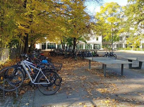 München Luitpold Gymnasium braucht mehr Platz Schulleiterin schlägt