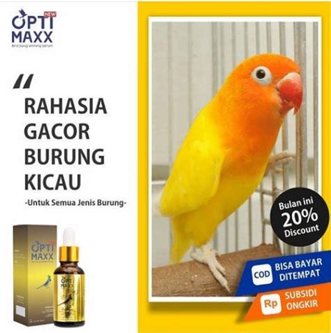 Jual OPTIMAXX SERUM TETES VITAMIN BURUNG JUARA Di Lapak GIZIDAT Bukalapak