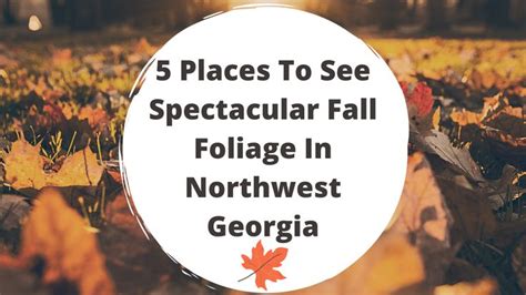 Places To See Spectacular Fall Foliage In Northwest Georgia Places To