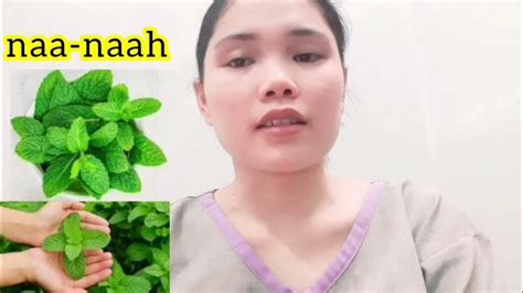 Mint Leaves In Arabic Name Tagalog Saffron Translate In Arabic Word