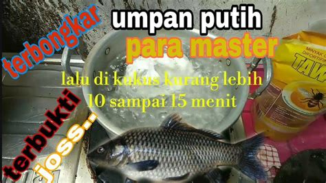 Racikan Umpan Putih Ikan Mas Terbukti Ampuh Dan Jitu Youtube