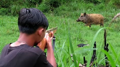 Berburu Babi Hutan Burung Ruak Ruak Youtube