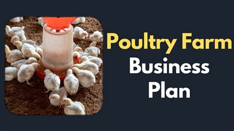 Poultry Farm Business Plan