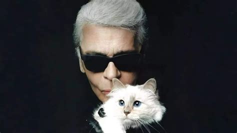 Choupette The Cat Everything You Need To Know About Karl Lagerfeld S